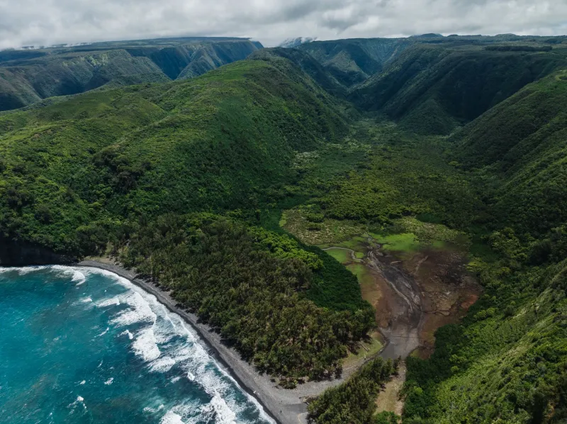 Mountain, Rain, and Lava: A Beginner's Guide to Tasting Where Your Coffee Grew