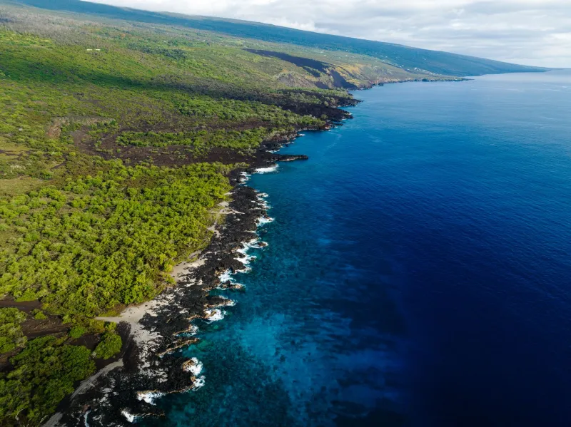 The Real Kona: What Makes Hawaii's Volcanic Coffee Worth the Splurge